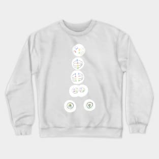 Mitosis Cell Division Biology Science Black Crewneck Sweatshirt